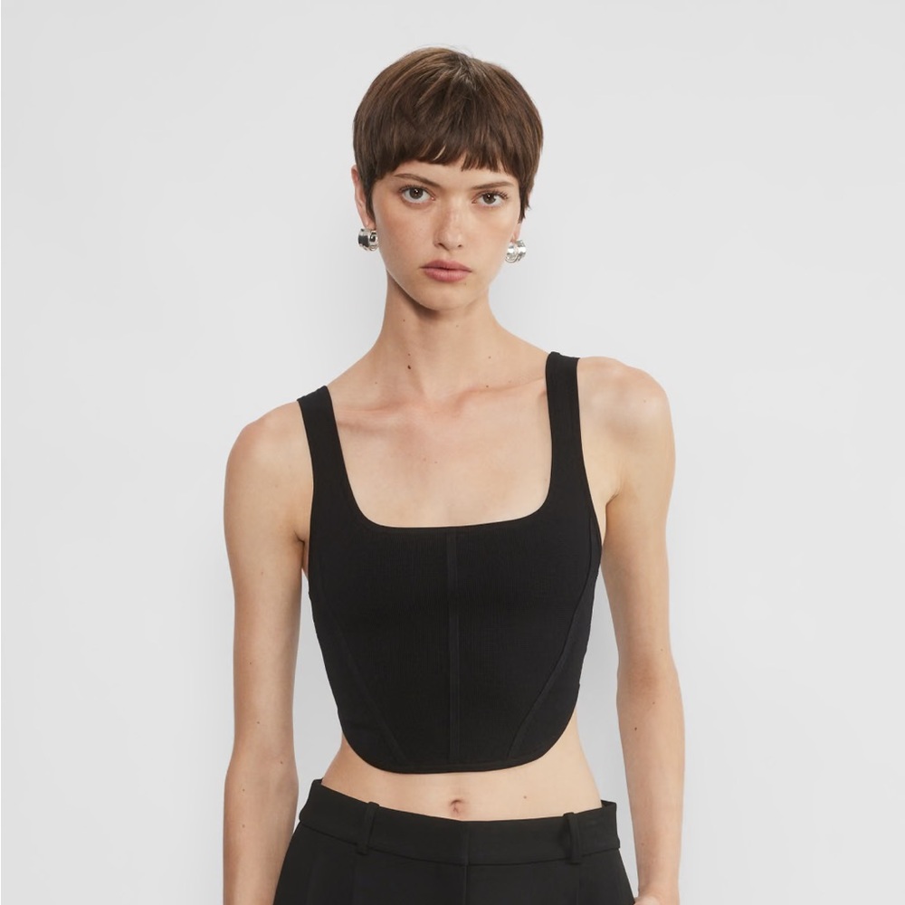 Babaton Sculpt Bustier tank 🖤 EUC